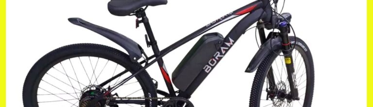 Bicicleta elétrica Boram