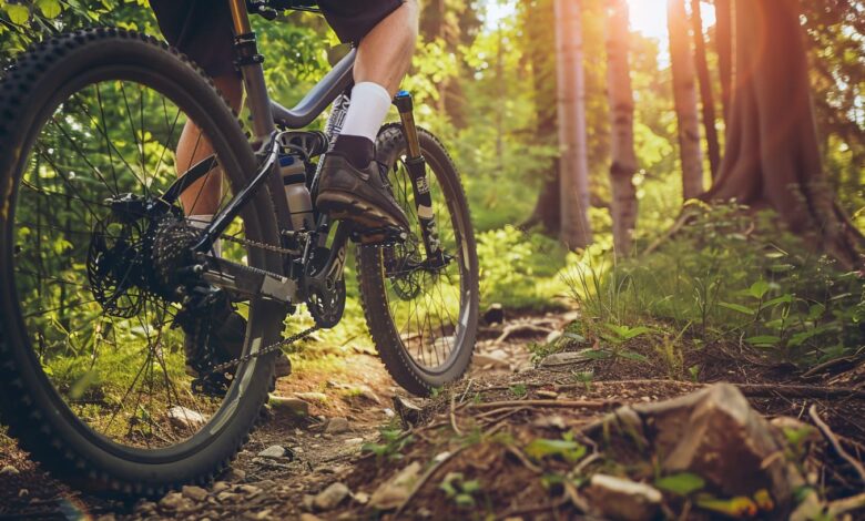 como escolher a bicicleta