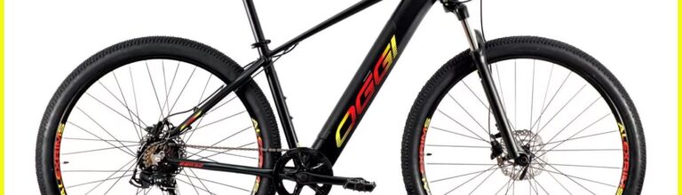 E-Bike Oggi BW 8.0