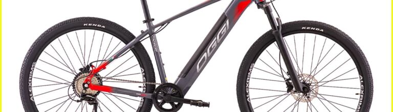 Bicicleta 29 Oggi Big Wheel 8.0