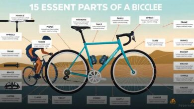 Descubra 15 Partes Essenciais da Bicicleta