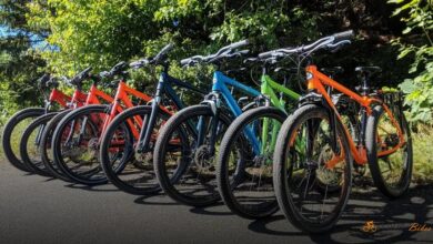 As 9 Melhores Bicicletas Híbridas para 2023