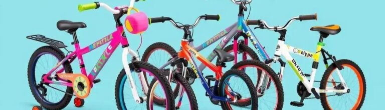 As 4 Melhores Bicicletas Aro 20 em 2025: Colli e Verden